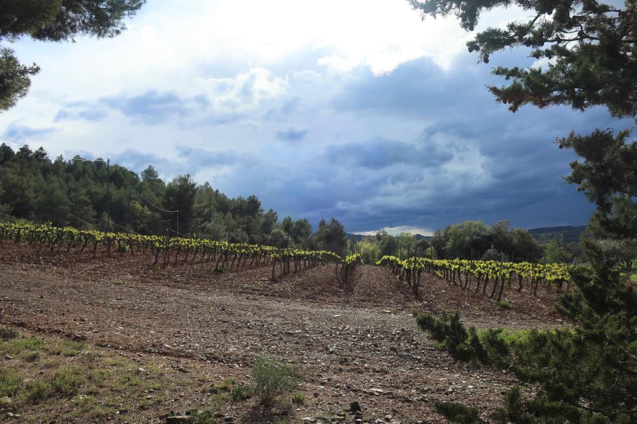 Masia Sagues Poblet Ngoại thất bức ảnh