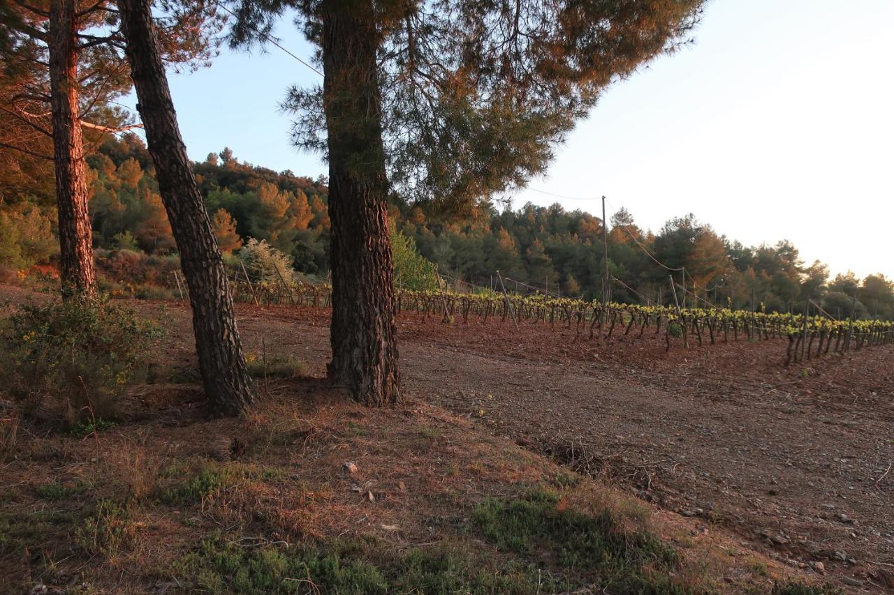 Masia Sagues Poblet Ngoại thất bức ảnh