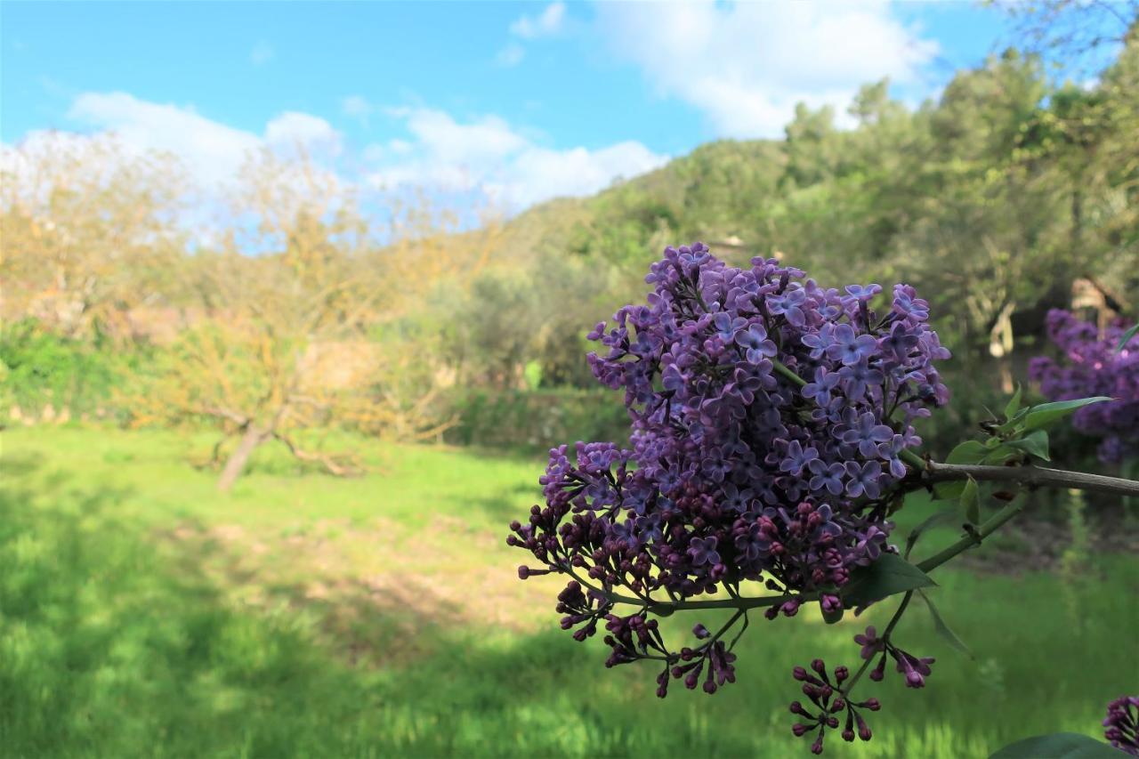 Masia Sagues Poblet Ngoại thất bức ảnh