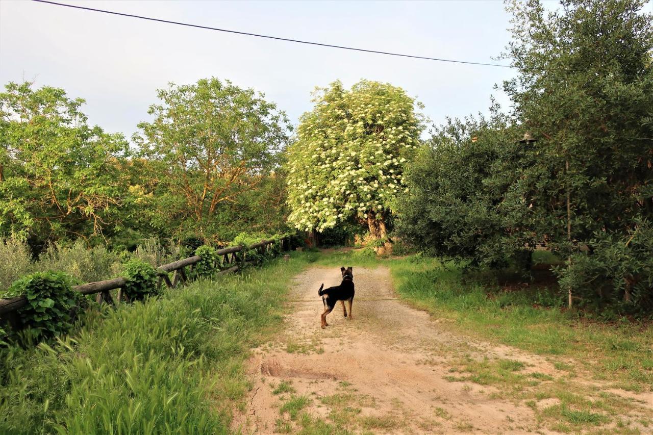 Masia Sagues Poblet Ngoại thất bức ảnh