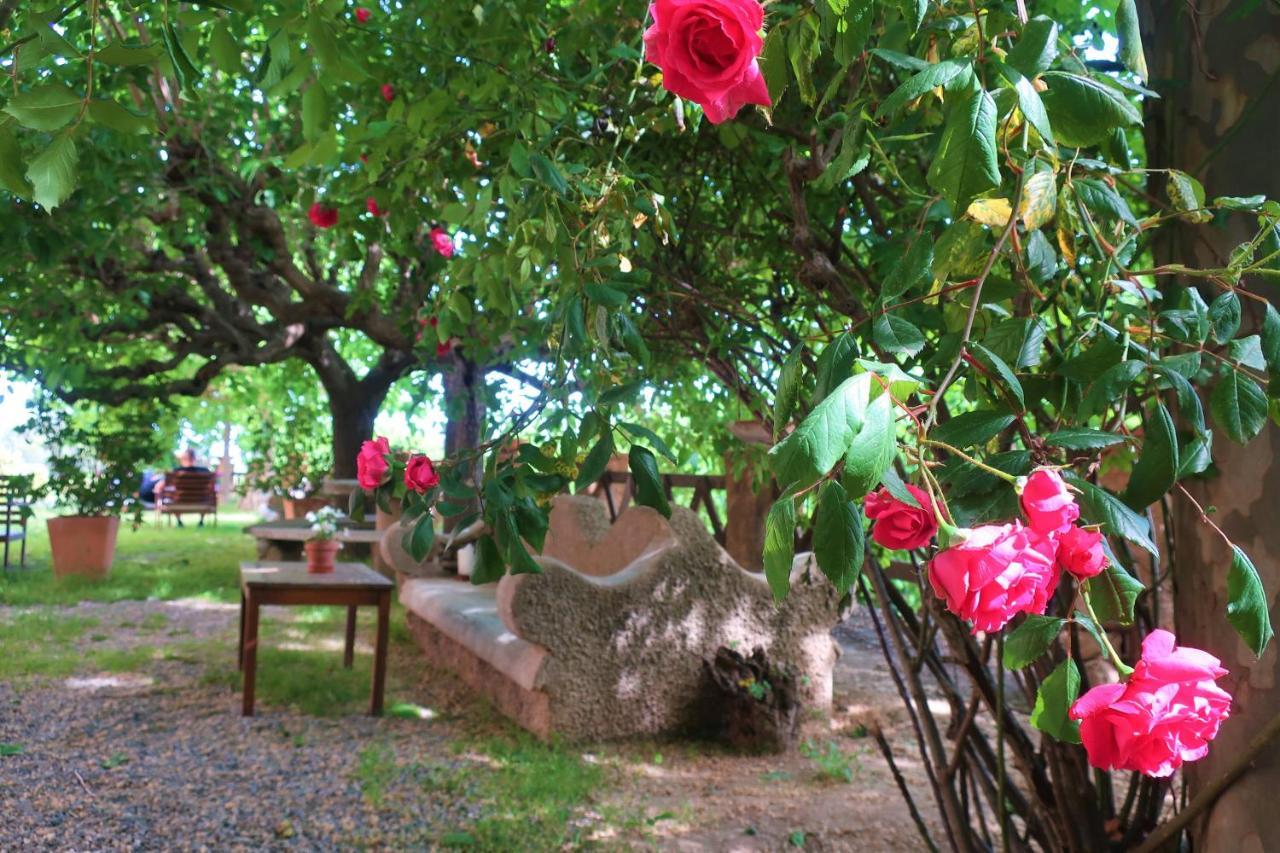 Masia Sagues Poblet Ngoại thất bức ảnh