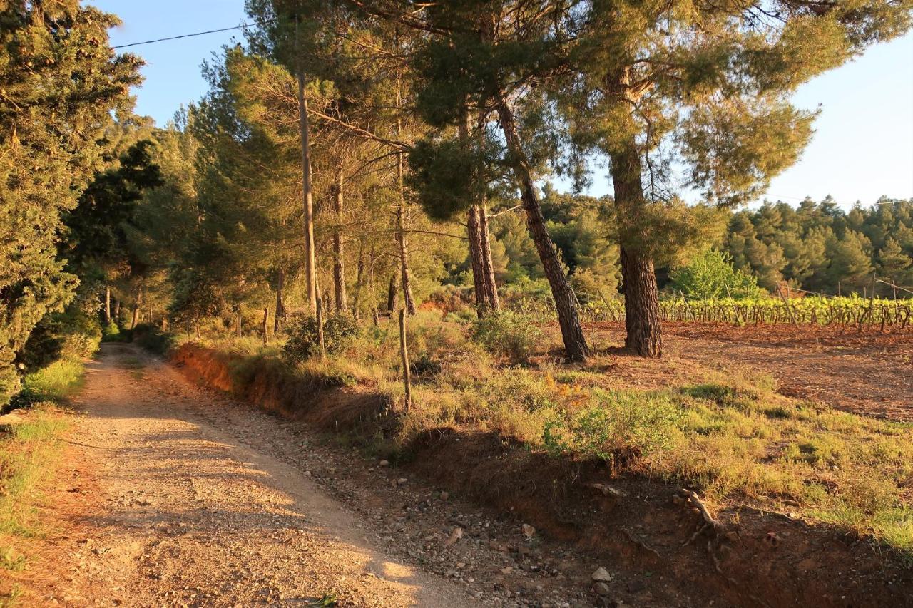 Masia Sagues Poblet Ngoại thất bức ảnh