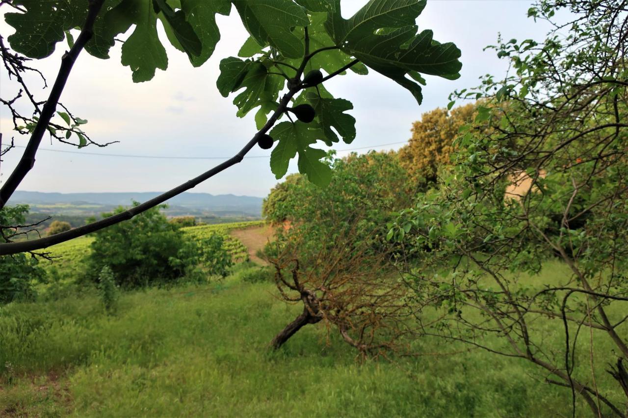 Masia Sagues Poblet Ngoại thất bức ảnh