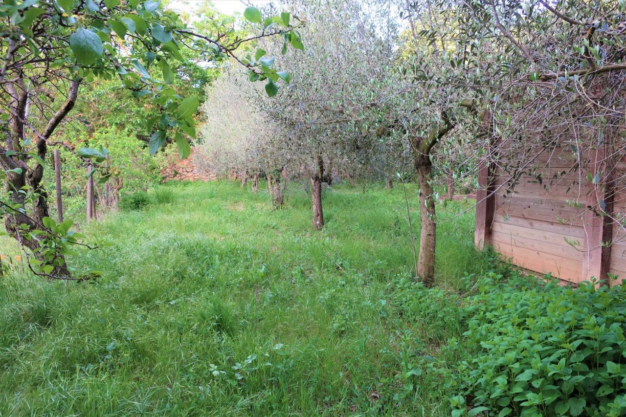 Masia Sagues Poblet Ngoại thất bức ảnh